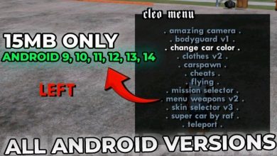 GTA San Andreas Cleo Cheat